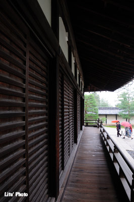 DSC_9453.jpg
