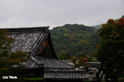 DSC_9455.jpg