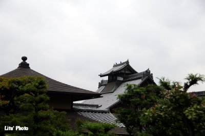 DSC_9522.jpg