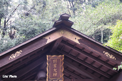 DSC_9550.jpg