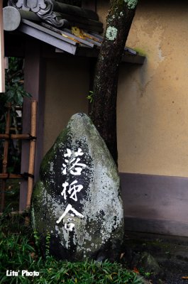 DSC_9579.jpg