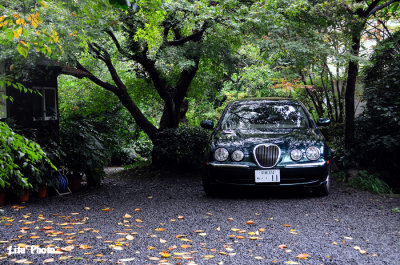 DSC_9601.jpg