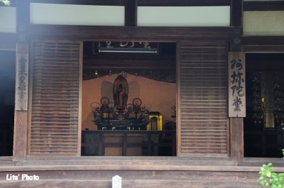 DSC_9645.jpg