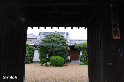 DSC_9666.jpg