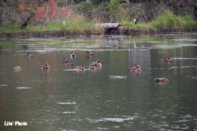 DSC_9702.jpg