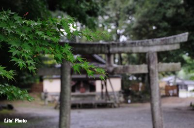 DSC_9714.jpg
