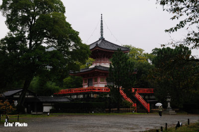 DSC_9723.jpg