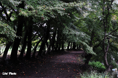 DSC_9736.jpg