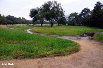 DSC_9767.jpg