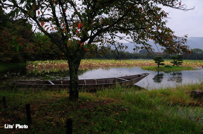 DSC_9771.jpg