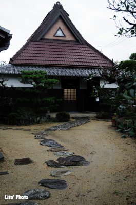 DSC_9859.jpg
