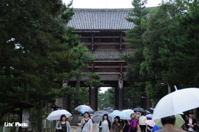DSC_1216.jpg