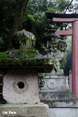 DSC_1401.jpg