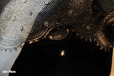 DSC_2993.jpg