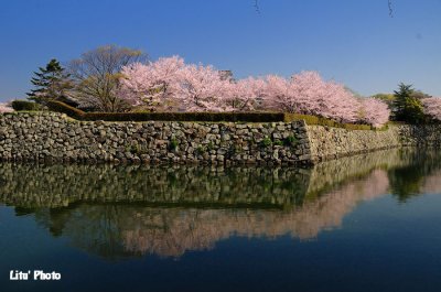 DSC_8634.jpg