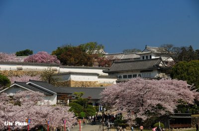 DSC_8664.jpg