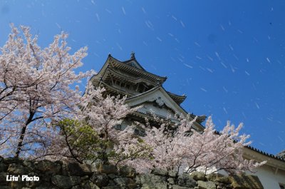 DSC_8860.jpg