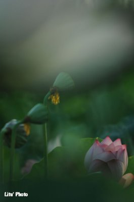 DSC_3628.jpg
