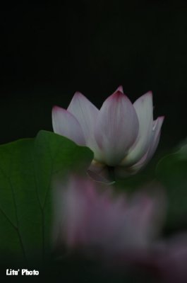DSC_3879.jpg
