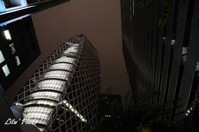 DSC_7689.jpg