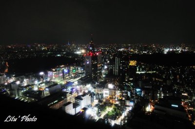 DSC_7731.jpg