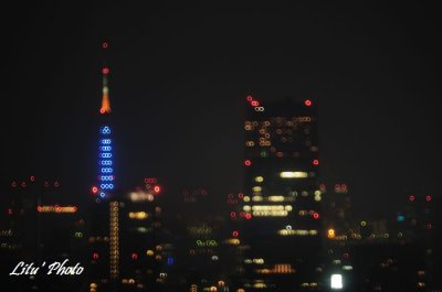 DSC_7738.jpg
