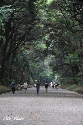 DSC_7810.jpg