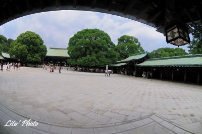 DSC_7947.jpg