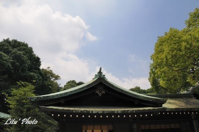 DSC_7974.jpg