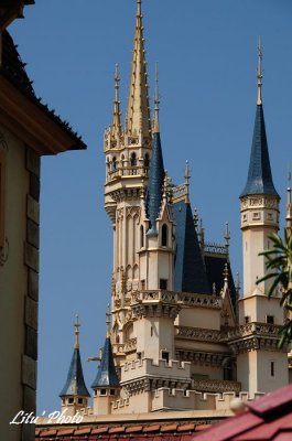 DSC_8635.jpg