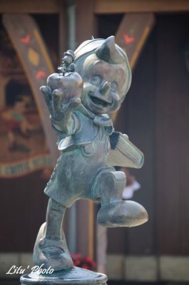 DSC_8708.jpg