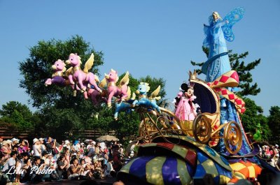 DSC_8855.jpg
