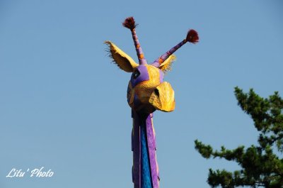 DSC_8895.jpg