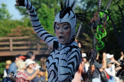 DSC_8903.jpg
