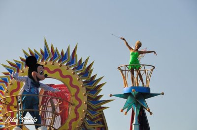 DSC_9081.jpg