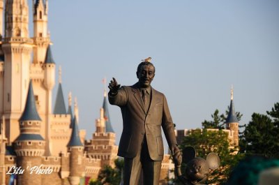 DSC_9172.jpg