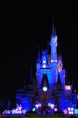 DSC_9254.jpg