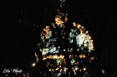 DSC_9280.jpg