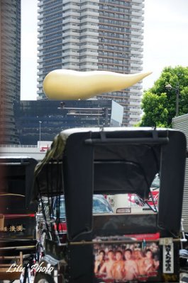 DSC_9484.jpg