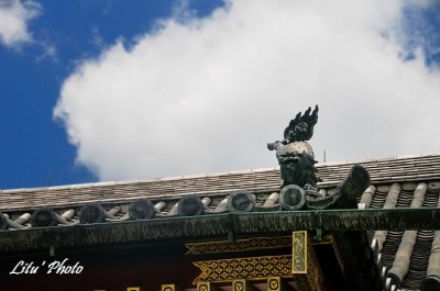 DSC_9700.jpg