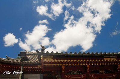 DSC_9702.jpg