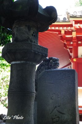DSC_9751.jpg