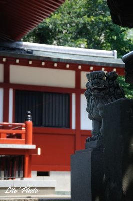 DSC_9753.jpg