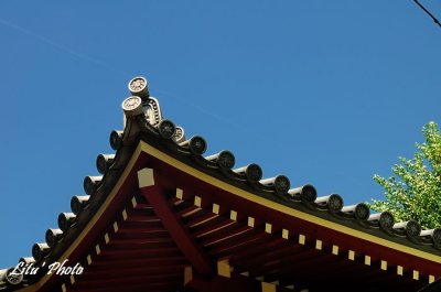 DSC_9755.jpg