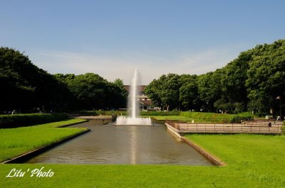 DSC_9842.jpg