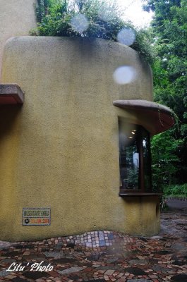 DSC_0032.jpg