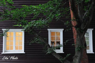 DSC_0096.jpg