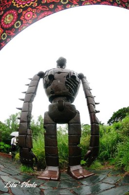 DSC_0157.jpg