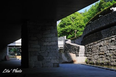DSC_0652.jpg
