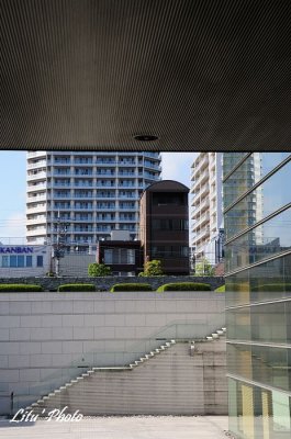 DSC_0663.jpg